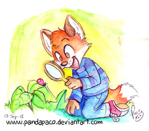 1323957_pandapaco_153biro_catarina.jpg