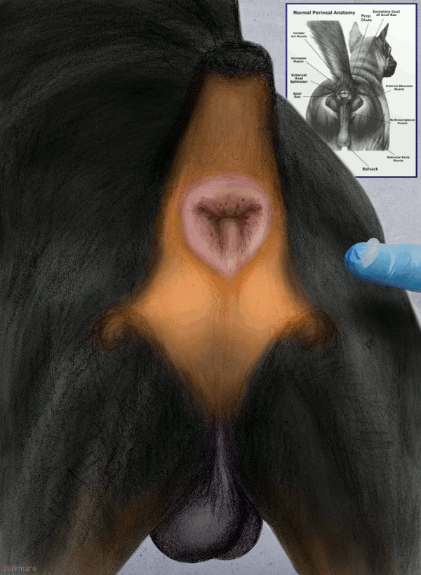 1536509_darkmare_portscan2.gif