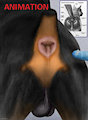 1536509_darkmare_portscan2.gif