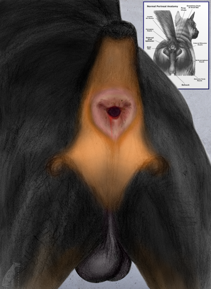 1542693_darkmare_barked5.png