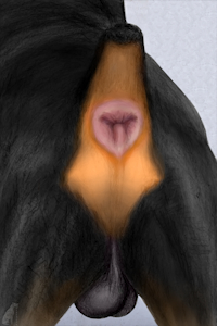 1628027_darkmare_cleanfun1.png