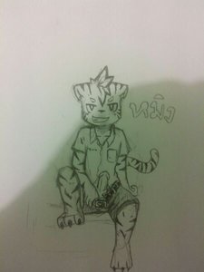 " Mhing " the shota tiger