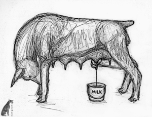 Who needs cows?