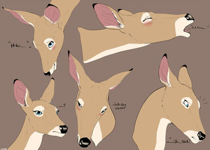 Doe Expression Doodles.