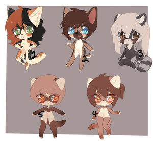 Mixed Adopts:Closed