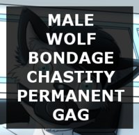 Engage Permanent Lock? (art)
