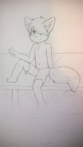 1348533_WinterFox_wp_20151207_009.jpg