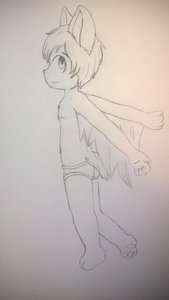 1348534_WinterFox_wp_20151207_010.jpg