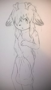 1348535_WinterFox_wp_20151207_011.jpg
