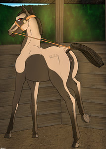 Mountain Mare mishap...