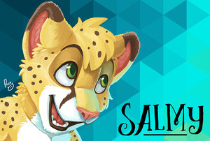 Salmy MFF badge