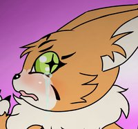 Meicoomon - are you new?