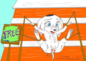 Cadpig for free