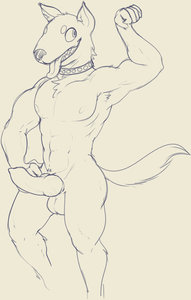 Powerdog