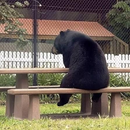 Was really excited for summer and the good weather to uplift my spirits but e...