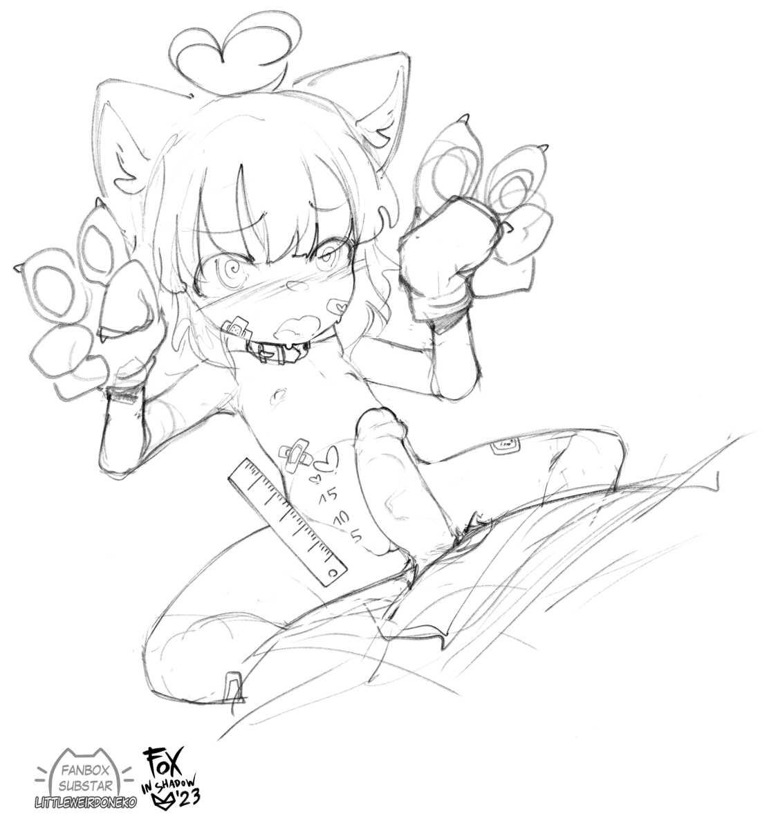 1_image_d725c29ab315.png