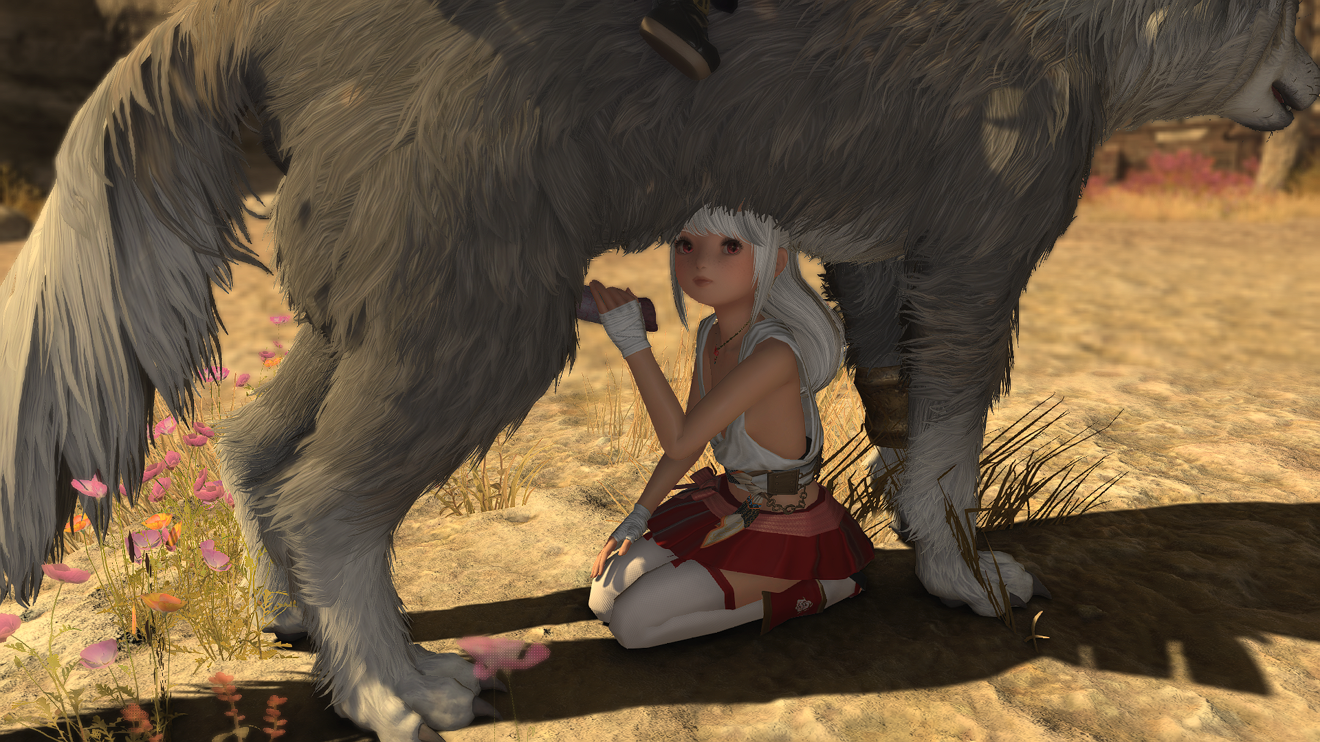 Torgal's adventure in the desert (courtesy of a fellow Kitten mod user @Catot...