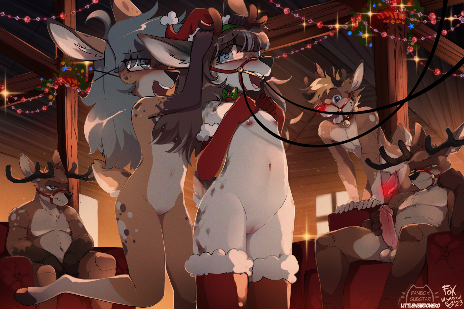 Did you have fun during this year's holiday season? I am very tired after fam...