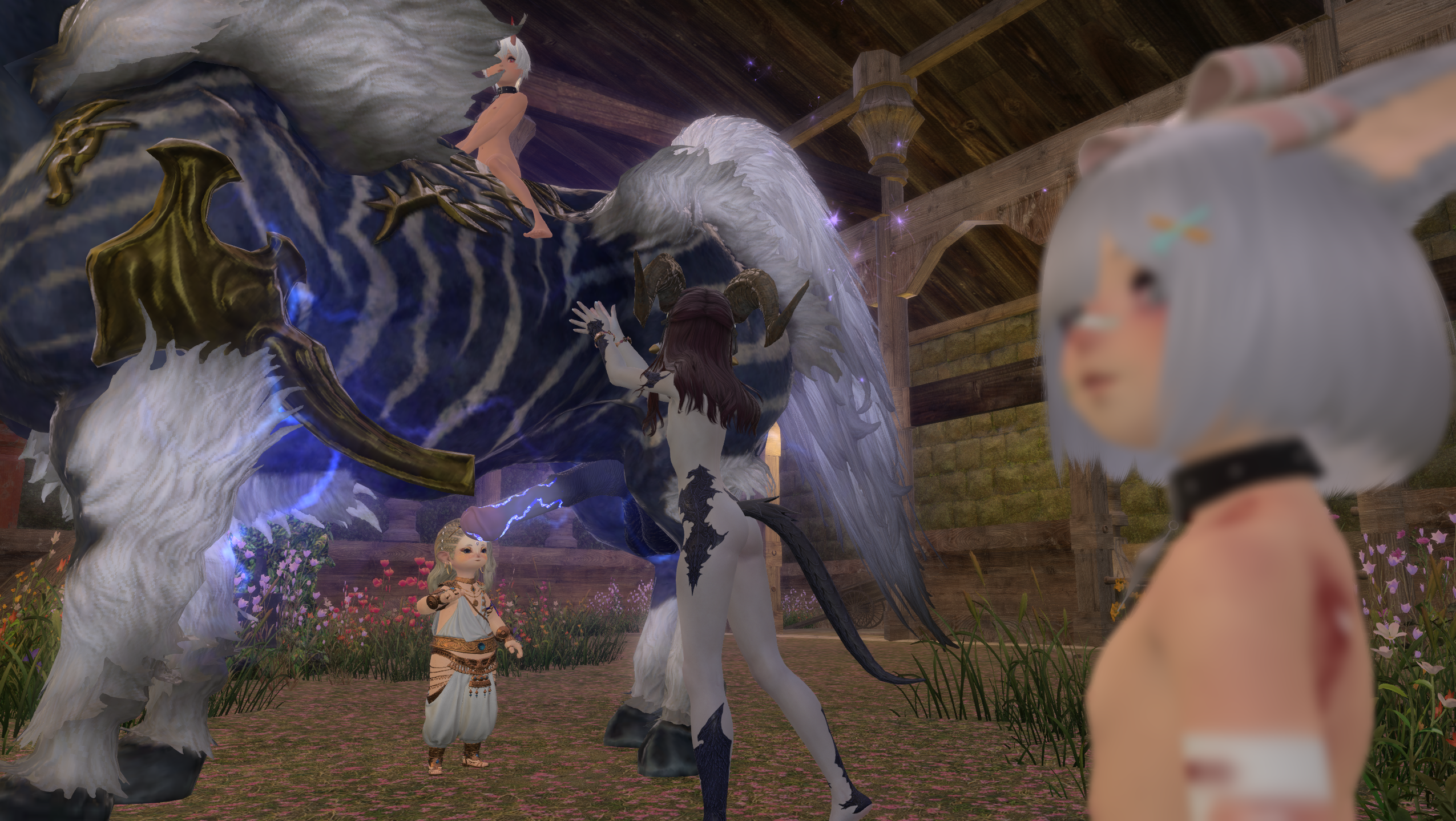 3_image_b97a719cf99c.png