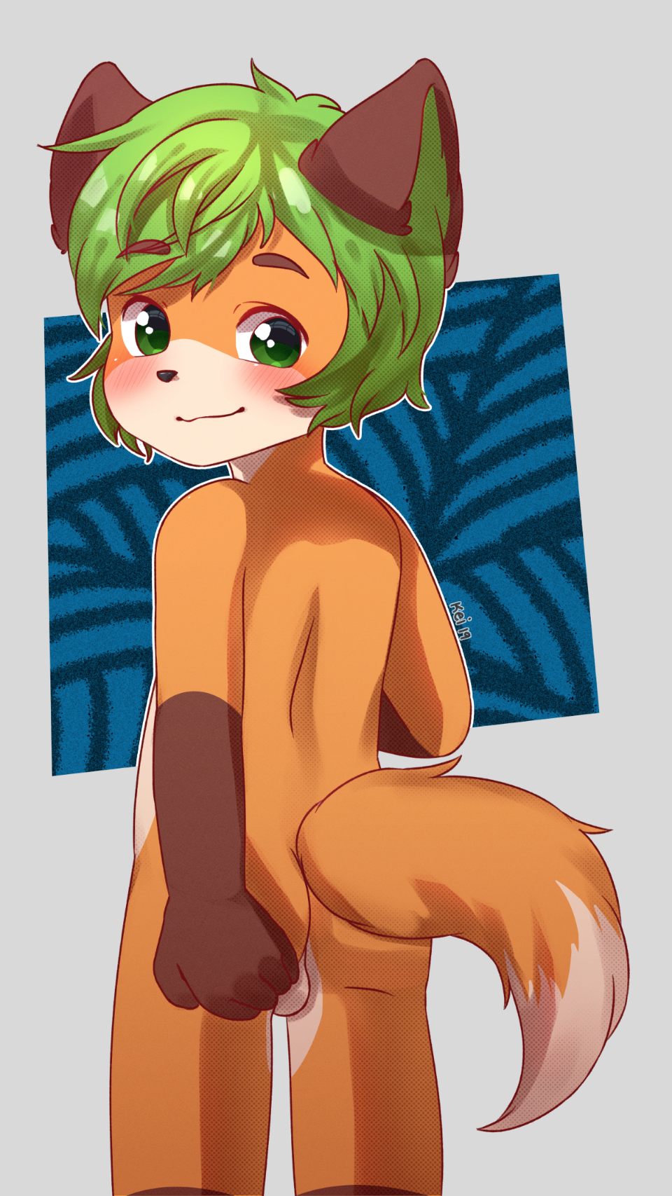 more fox boys