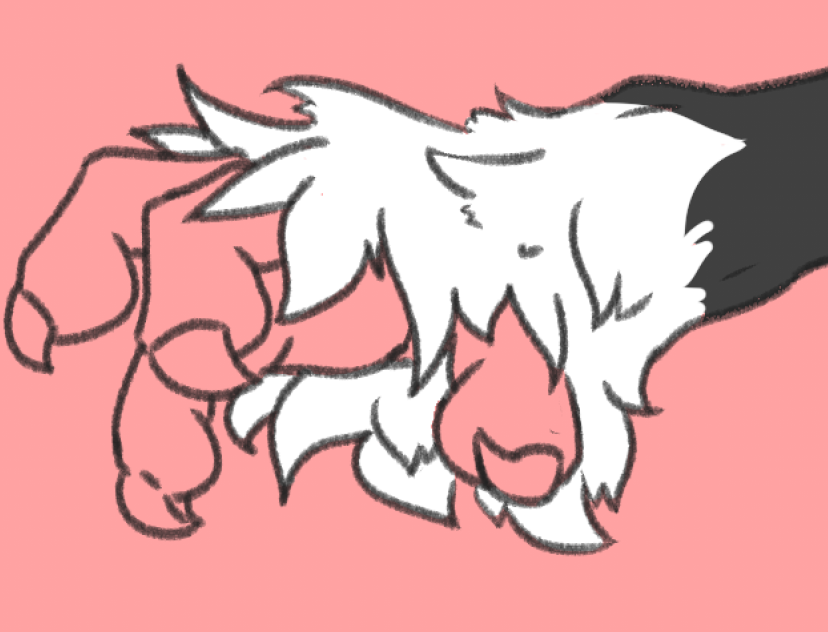 풍성 털 https://t.co/YYVS4M7fgg