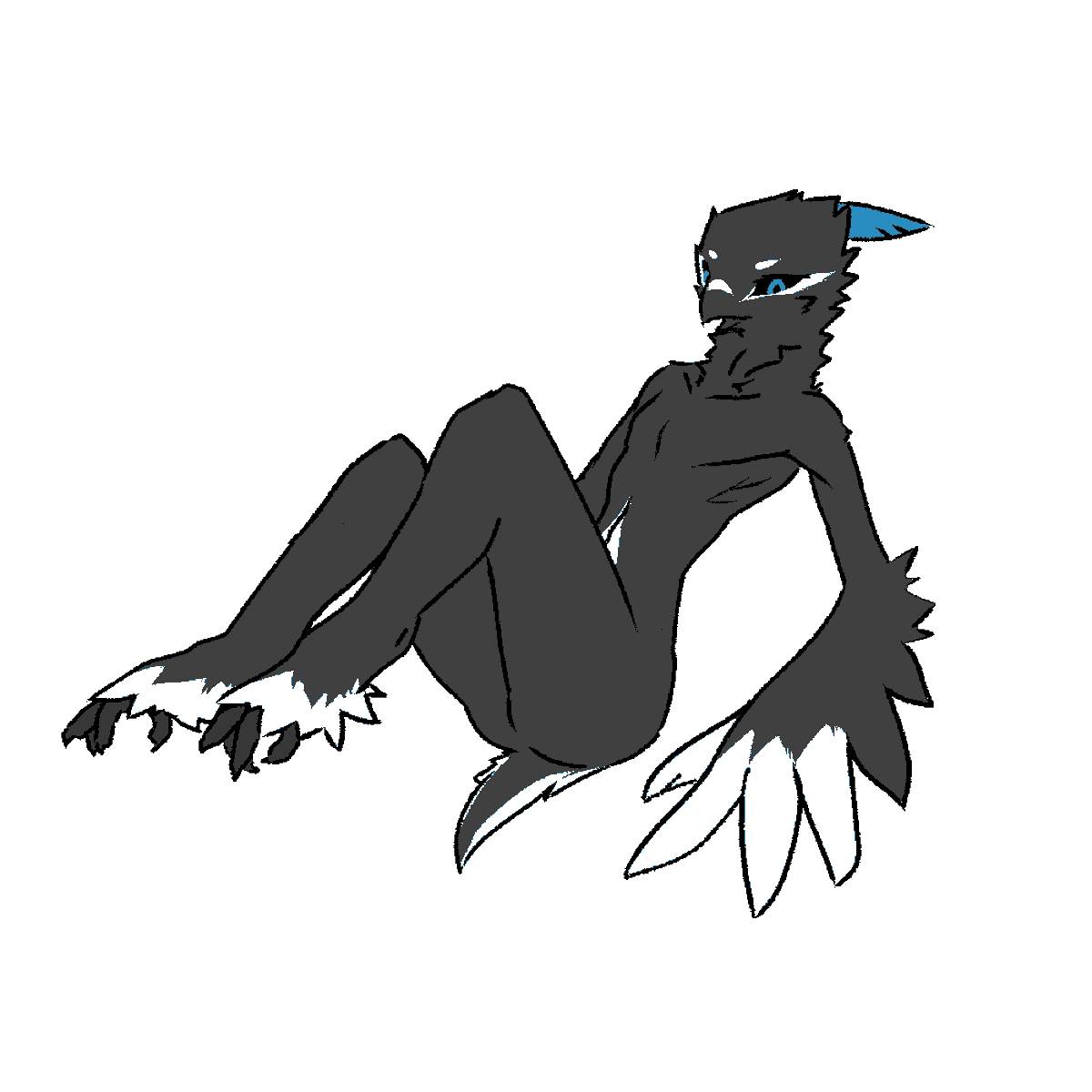 1_photo_c9f434dd06b4.png