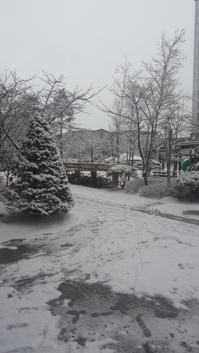 これは昨日の朝に撮った家から出たらシベリアになってましたの風景 https://t.co/TciOn2aNJn