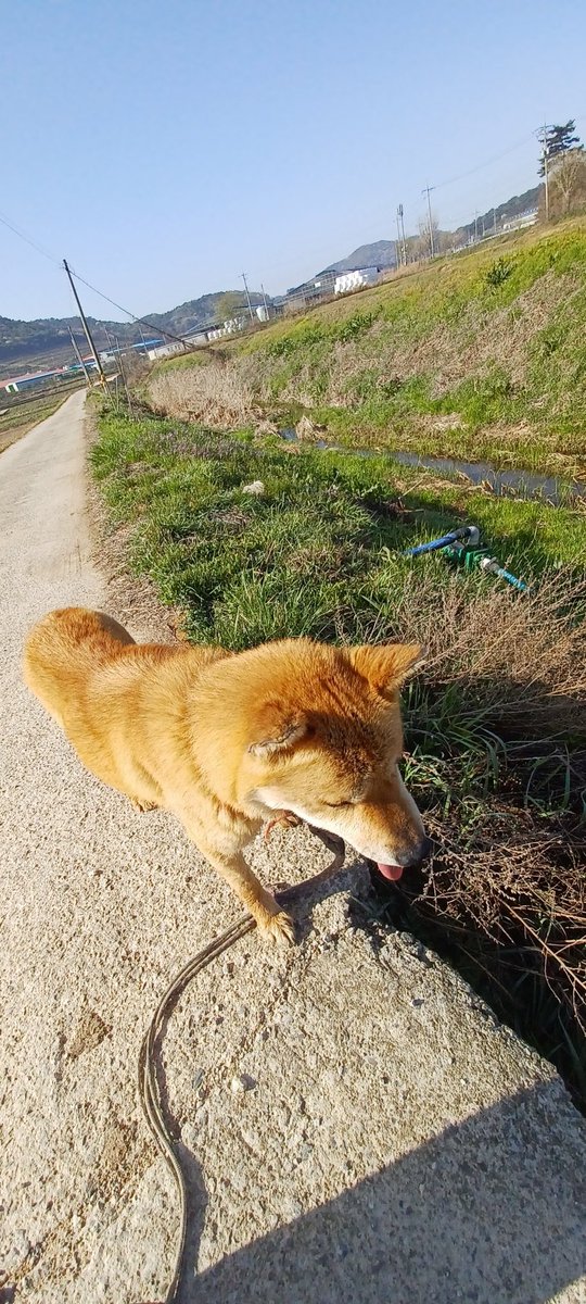 3_photo_c60410046ee9.jpg