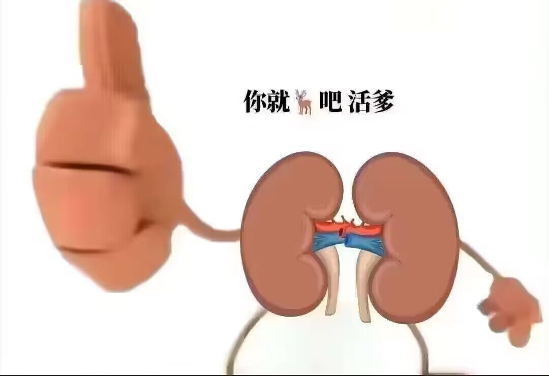 猛然发现近期突然高产了起来（？） 一晚上画一张低质量摸鱼（ 🥵🥵🥵🥵 画画力要被抽干了！！！ https://t.co/q1qmXxCYyD