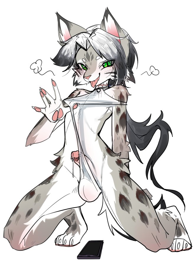 杂鱼南梁山猫！！！😡😡😡 @ZeroArashiLynx https://t.co/mncKKCZBUs