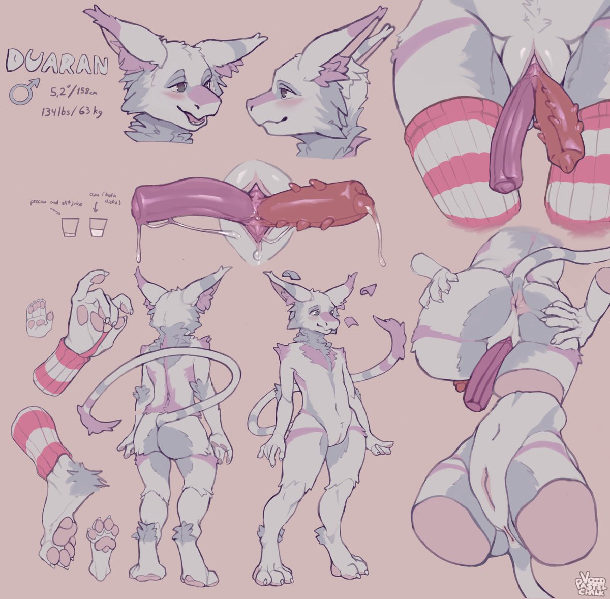 Made a ref sheet of my oc Duaran (changed colors so now my pfp and banner are...