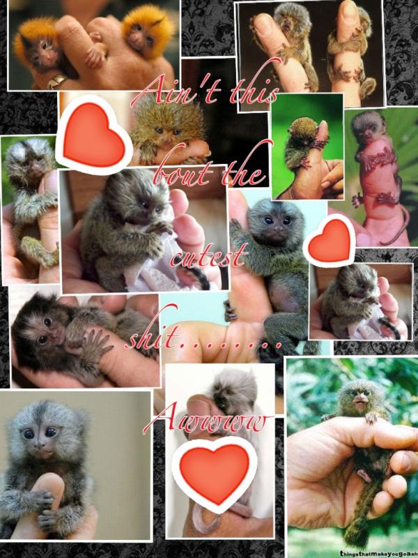I created this collage! http://t.co/KUJZxib4 via @PicCollage http://t.co/Bw5B...