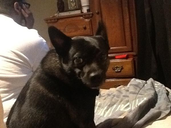 @simonebienne my other son http://t.co/zb0w9LoV