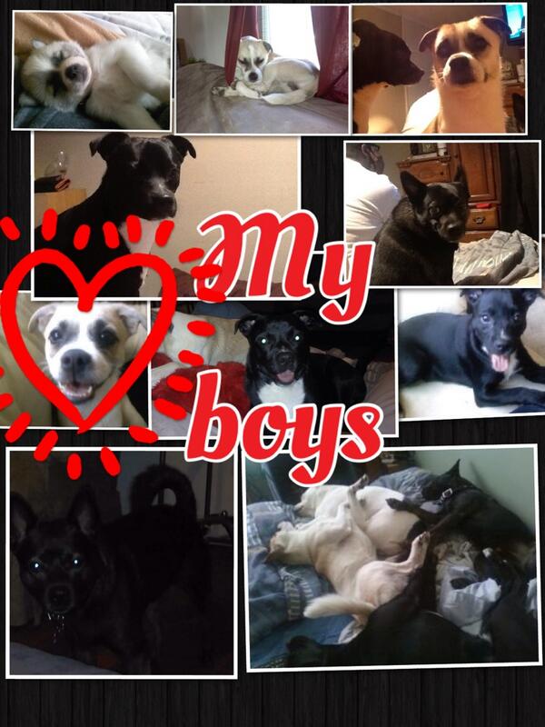 My boys http://t.co/2f2bCkYBSY via @PicCollage http://t.co/mASIunmz10