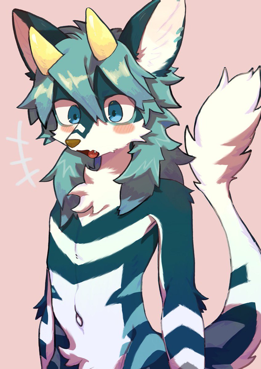 🐺 https://t.co/jA0iZOT5CX