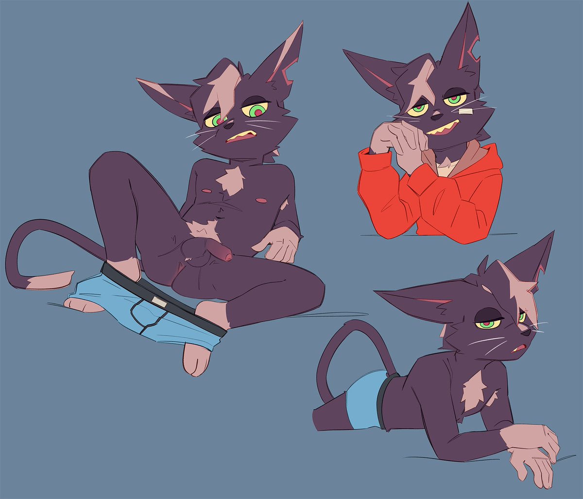More of my new Catboy. Gave him a few new markings, he still doesnt have a na...
