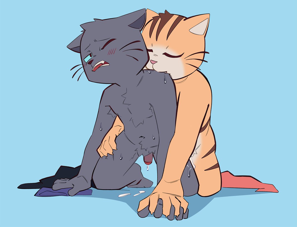 just 2 good boys doing cat things https://t.co/fBM1qhFtQb