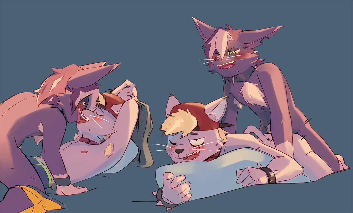 You know, just 2 cats doing their thing... featuring: @dokeokeb https://t.co/...