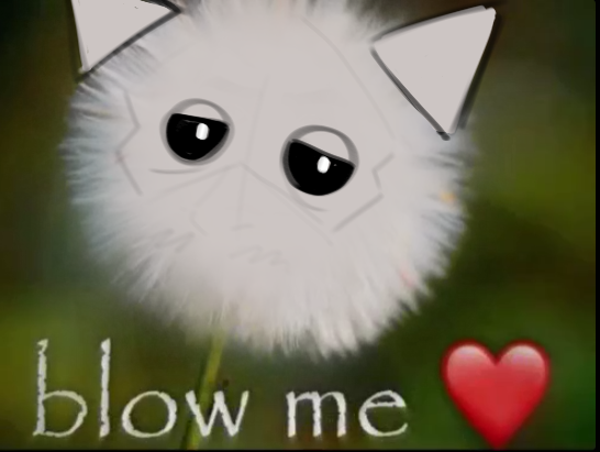 ❤️ https://t.co/103IdvVDWN